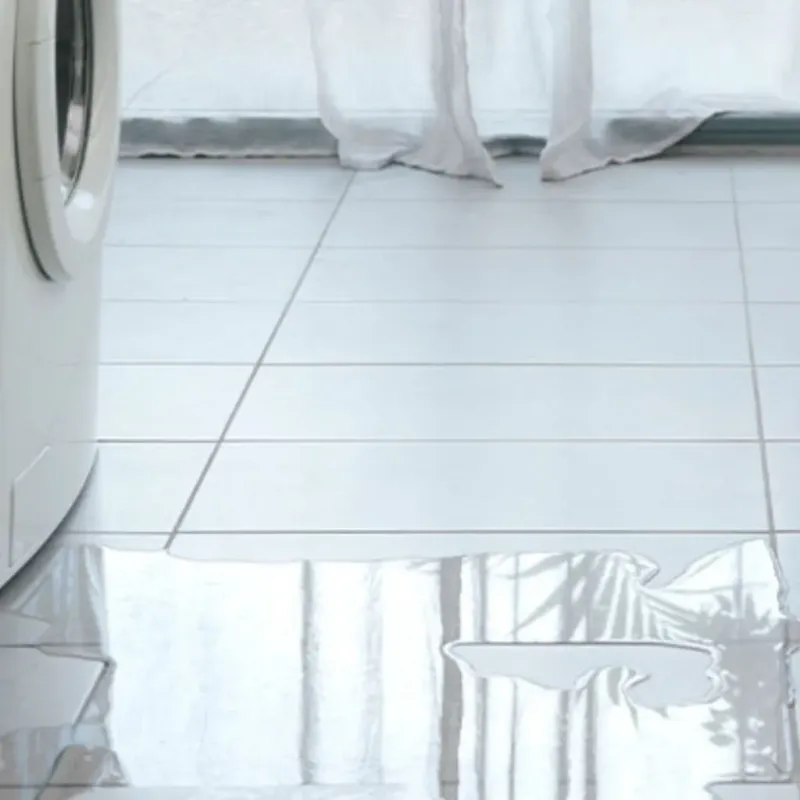 Appliance Leak Cleanup in Nolan County, TX