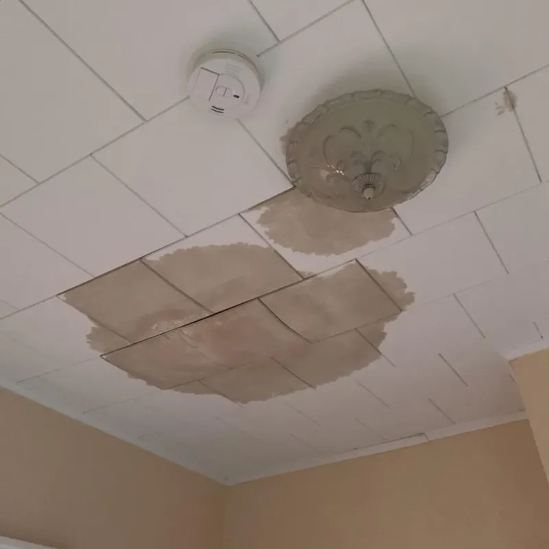 Ceiling Water Damage Repair in Nolan County, TX