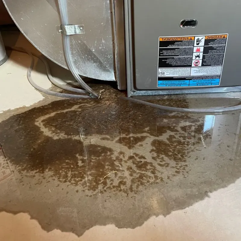 Pipe Burst and Leak Restoration in Nolan County, TX