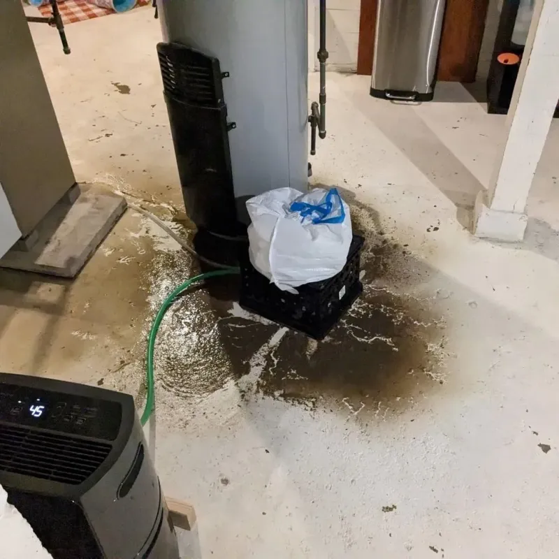 Sewage Backup Cleanup Service in Nolan County, TX